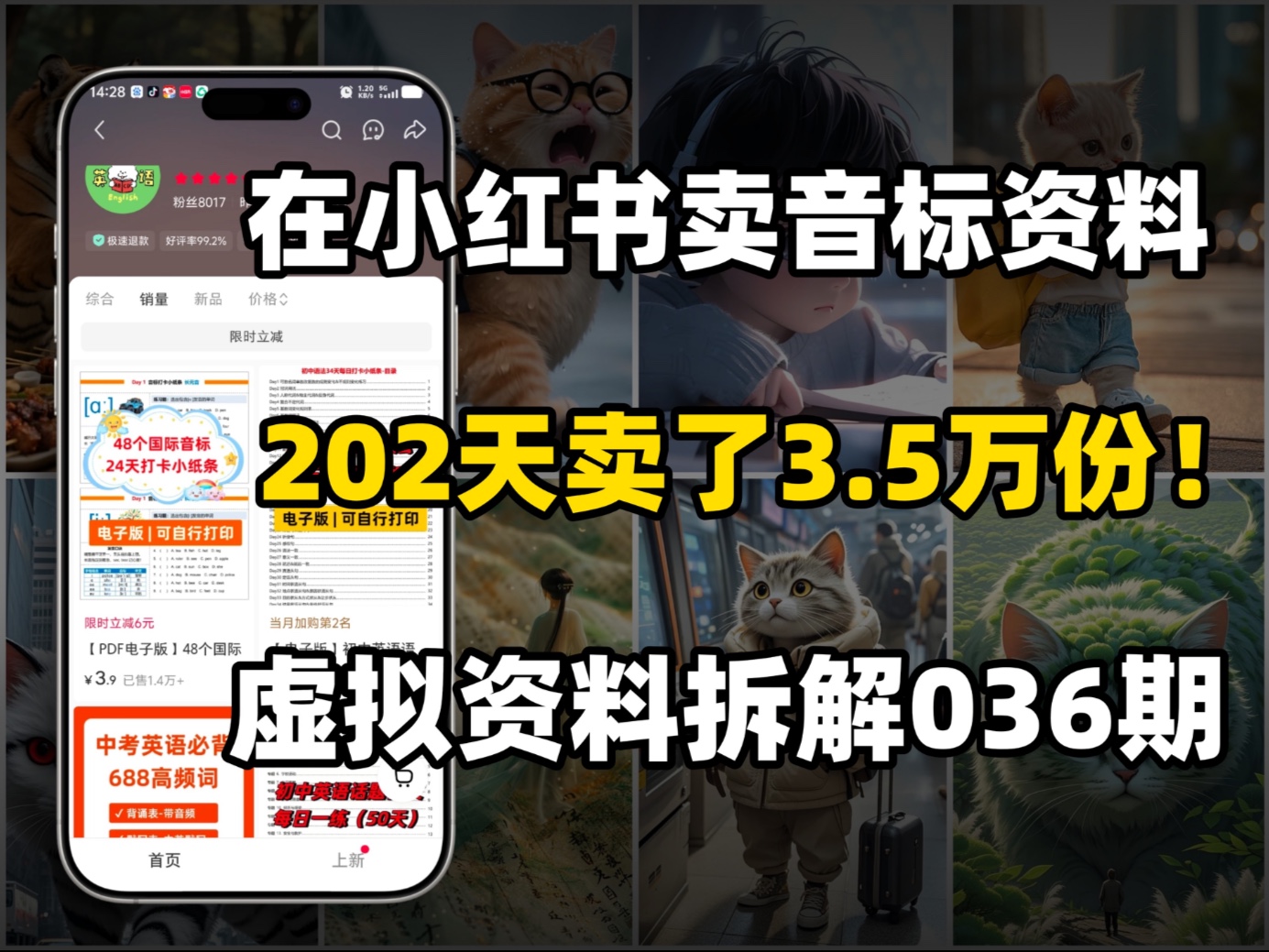 虚拟资料怎么做？小红书卖音标资料，开店202天，卖了3.5万份！虚拟资料拆解036期