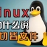 为什么说Linux下一切皆文件？