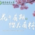 【高考帮出品】南京林业大学2023年招生宣传片：花开有期，樱为有林