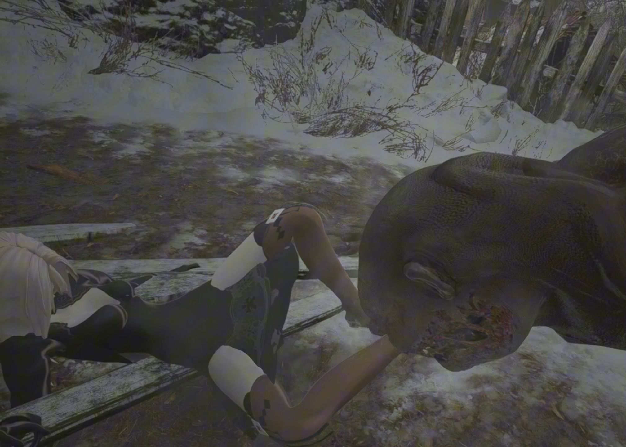 生化危机8村庄狼人处决AUG人形