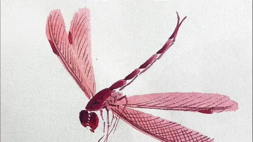 国画蜻蜓画法