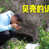 【大地史书 】第一集：贝壳见证下的沧海桑田—天津贝壳堤
