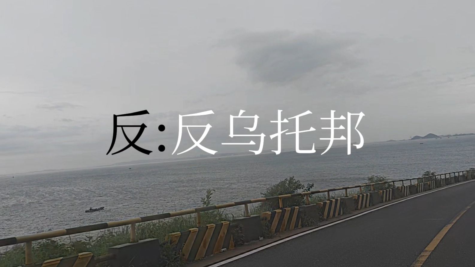 【反乌托邦翻填】反:反乌托邦“挺身而立与世界为敌，再起身穿过所有荆棘。”【自制pv付】