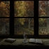 【白噪音】超长8小时丨下雨天坐在窗前看书、喝茶丨森林里的舒适小屋（窗外下着大雨&飘着落叶）
