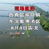 现场实拍！西青区辛口镇东淀蓄滞洪区8月8日实况  #你好天津# #点赞天津