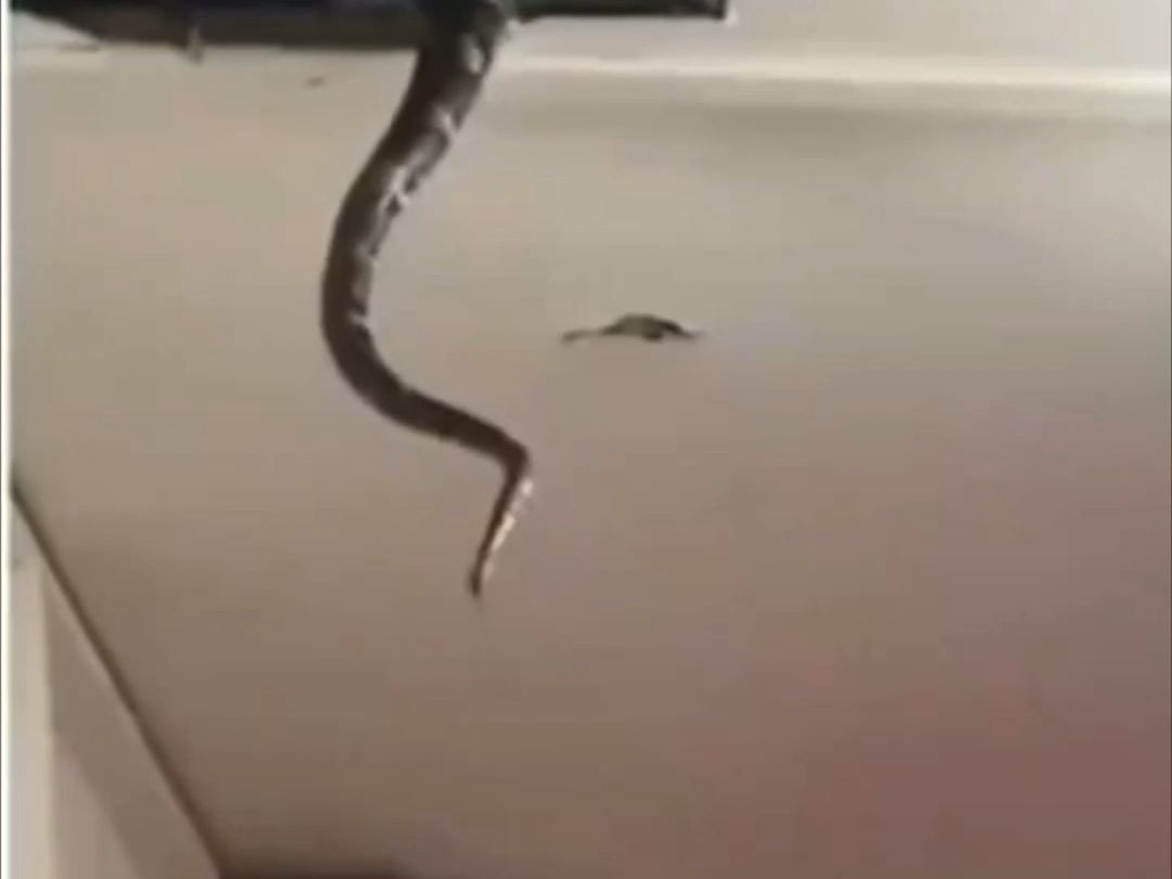 I didn't realize it was a big one.