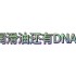 藏在润滑油的DNA——一起来看统一钛合能9系的DNA是什么吧