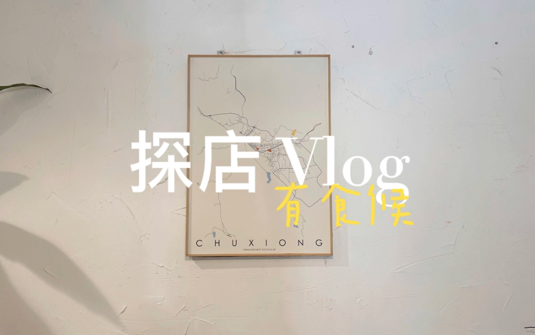 【魏美香】探店vlog|有食候|云南楚雄哔哩哔哩bilibili