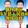 喀什地区莎车县政府领导简介