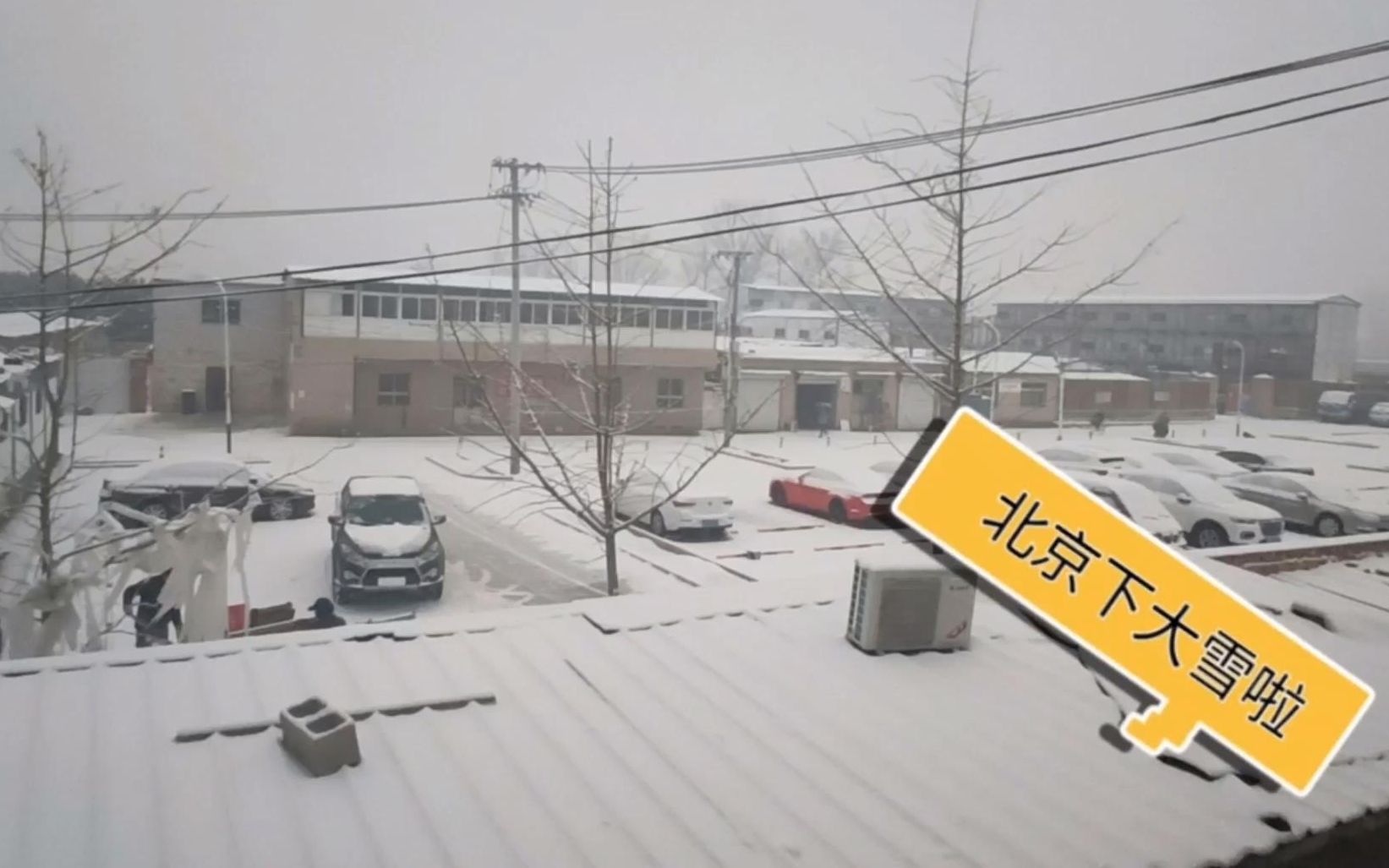 北京迎来第一场大雪,北漂小董雪中玩嗨了,像回到了小时候的日子哔哩哔哩bilibili