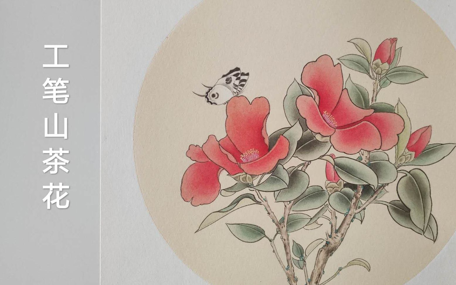 工笔画技法 山茶花线描 哔哩哔哩 つロ干杯 Bilibili