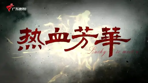 （粤语抗战剧）热血芳华1080P字幕版