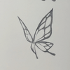 零基础绘画教学，小蝴蝶临摹过程