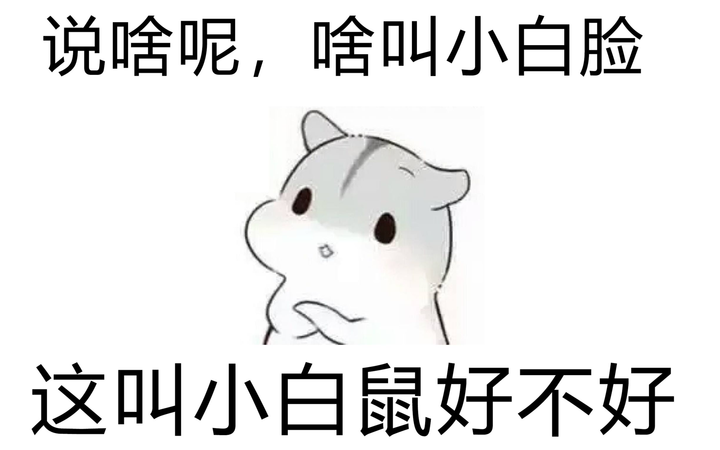 仓鼠王想当小白脸求富婆包养