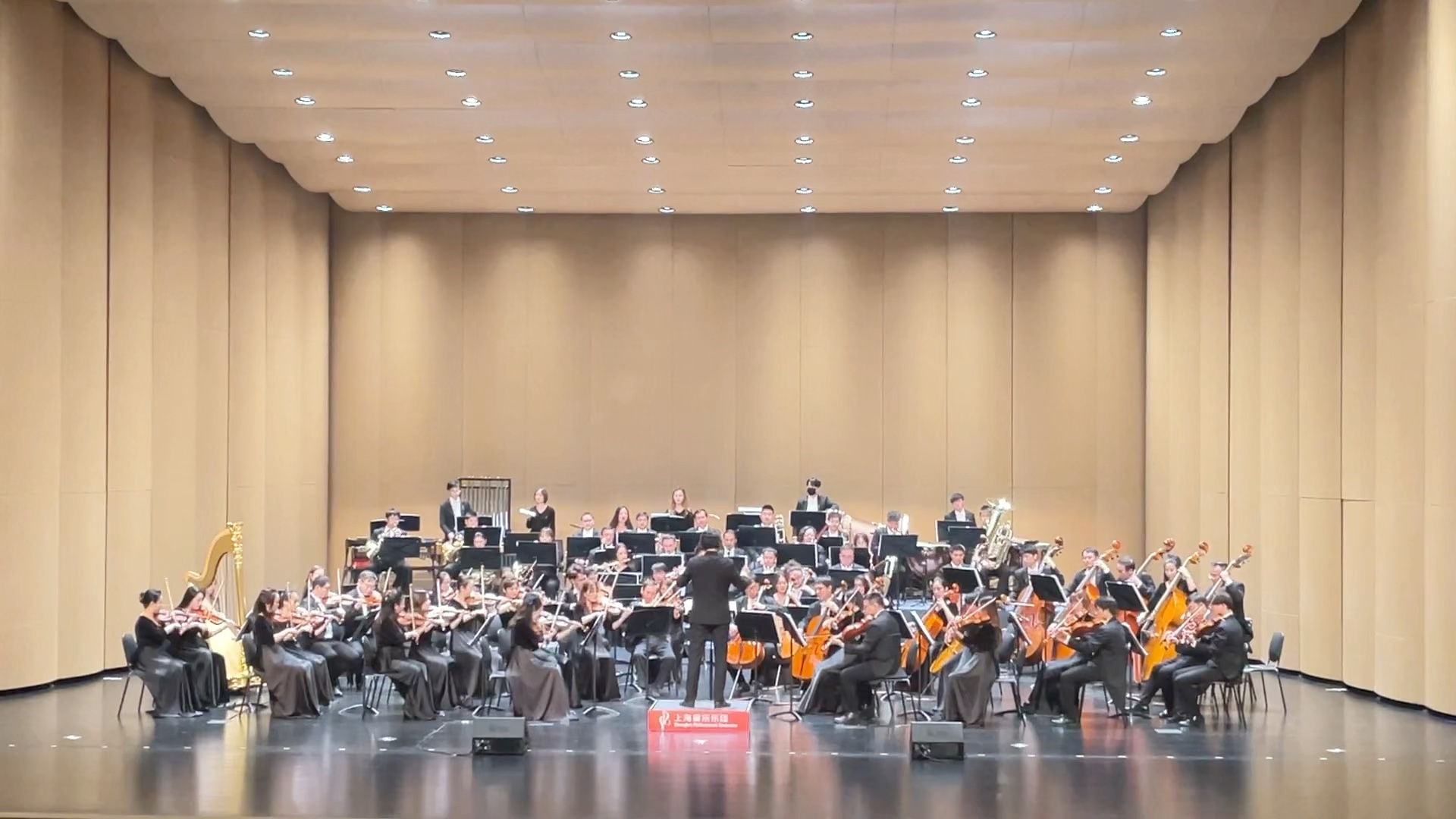 最好听的《科目三》版本——来自上海爱乐乐团2024新年音乐会