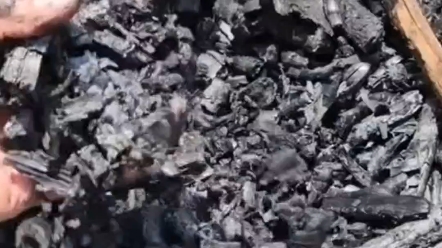 流落荒野如何获取宝贵木炭？