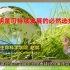 05-2 生态文明是可持续发展的必然选择【复旦赵斌教授公开课】