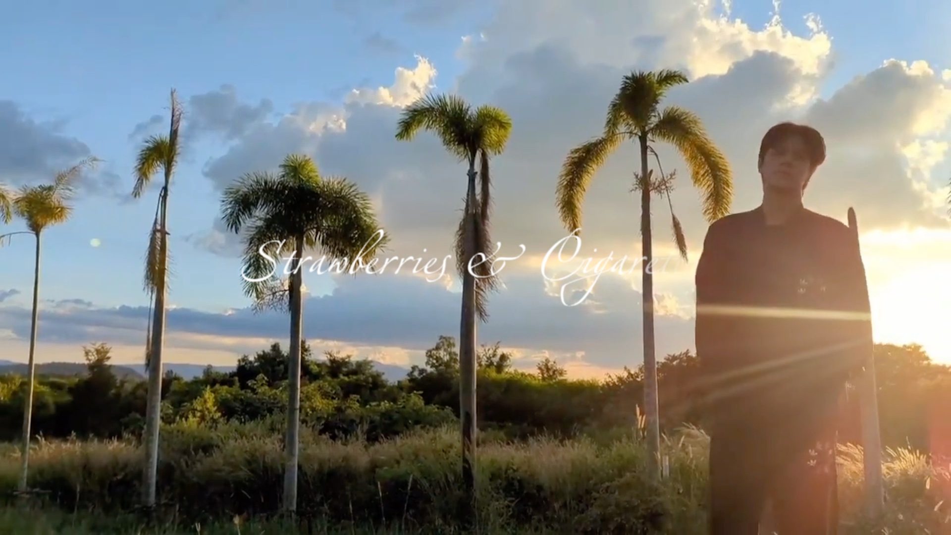 【Strawberries & Cigarettes】—TripleN_哔哩哔哩_bilibili