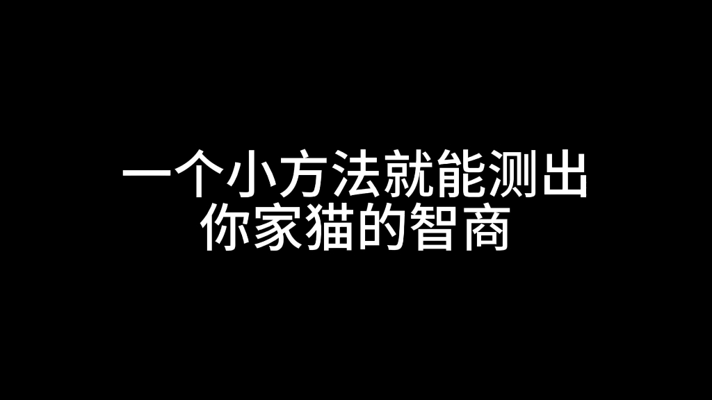 一个小方法快速测出猫咪智商!7只猫亲测有点准…哔哩哔哩bilibili