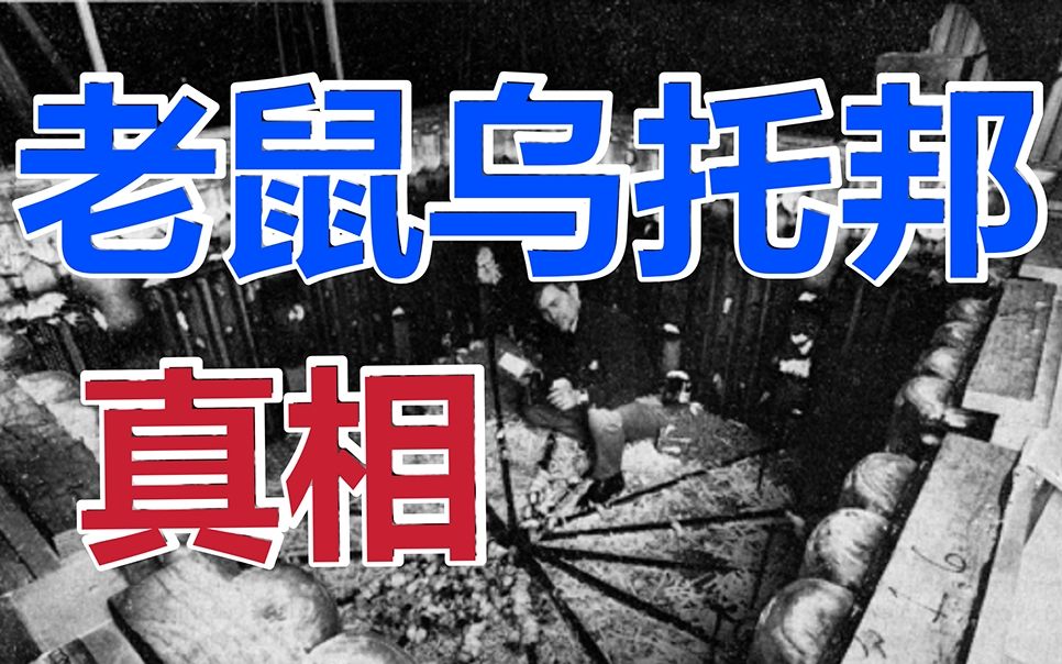 【百家饭堂】老鼠乌托邦实验真相
