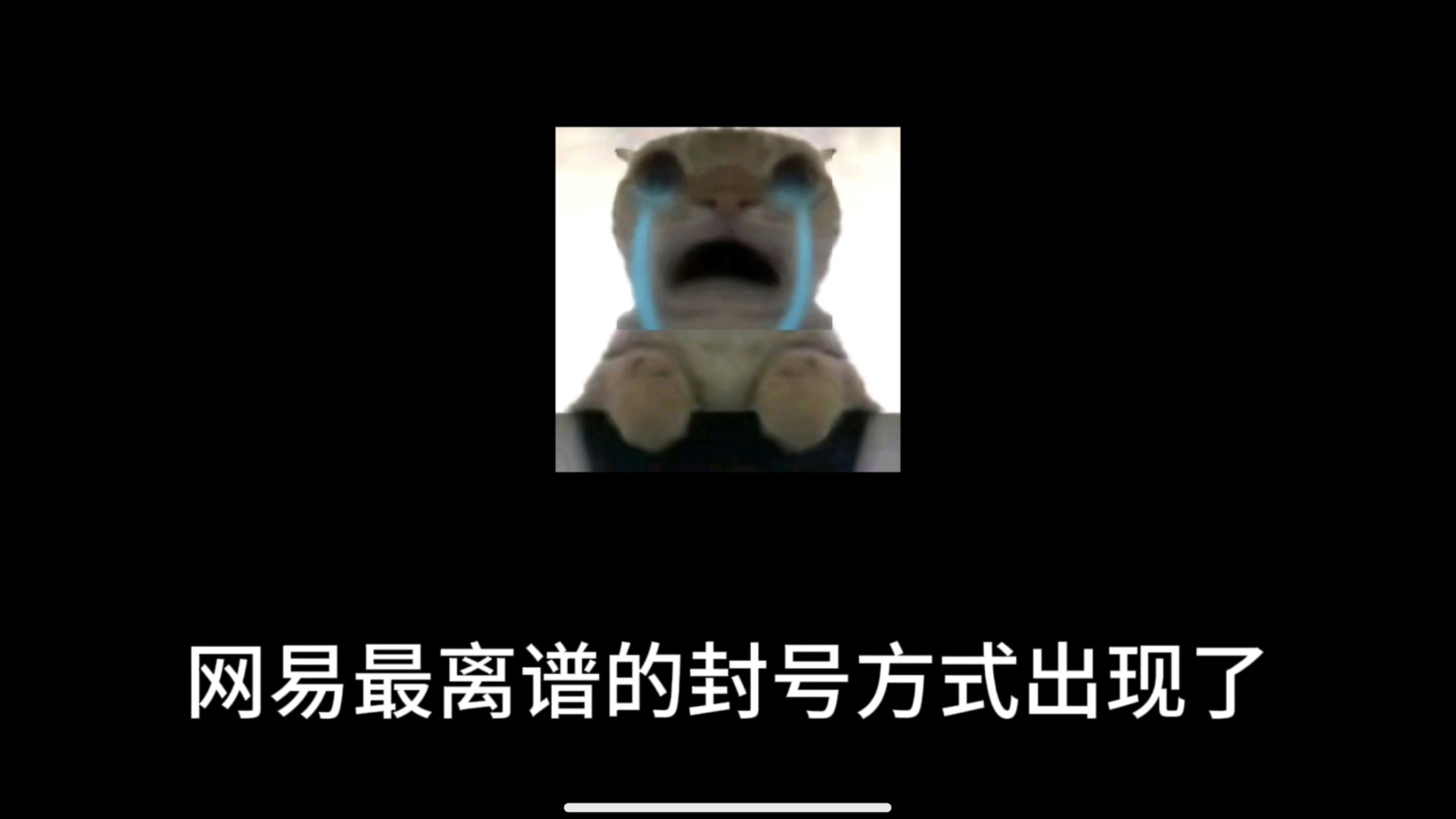 我只因拿了一个地图，就被网易封禁十年？