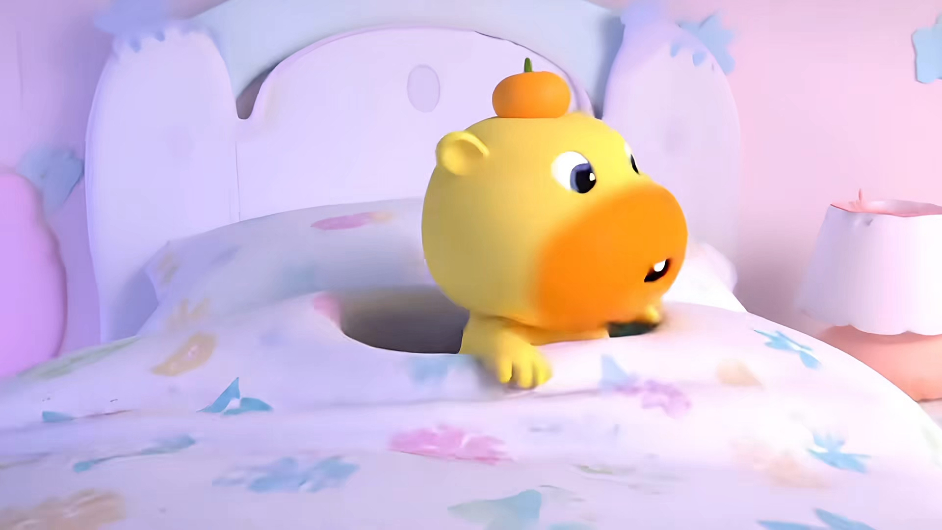 噜噜的被窝里面都是橘子