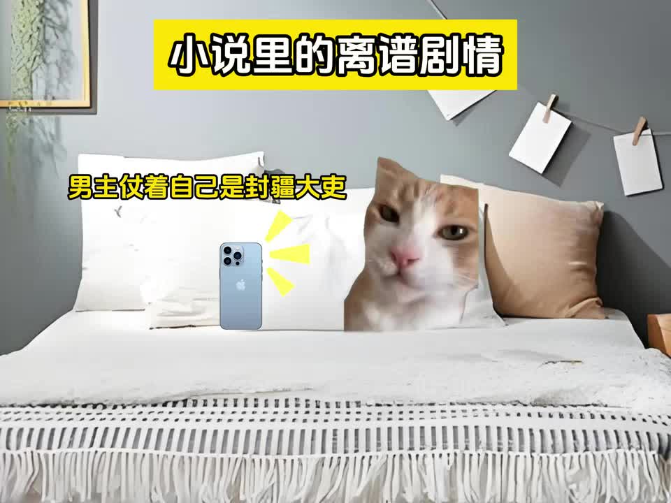 小说里的离谱剧情