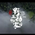 CGTN 8K 《中国：野生动物家园》保护生物多样性 预告片