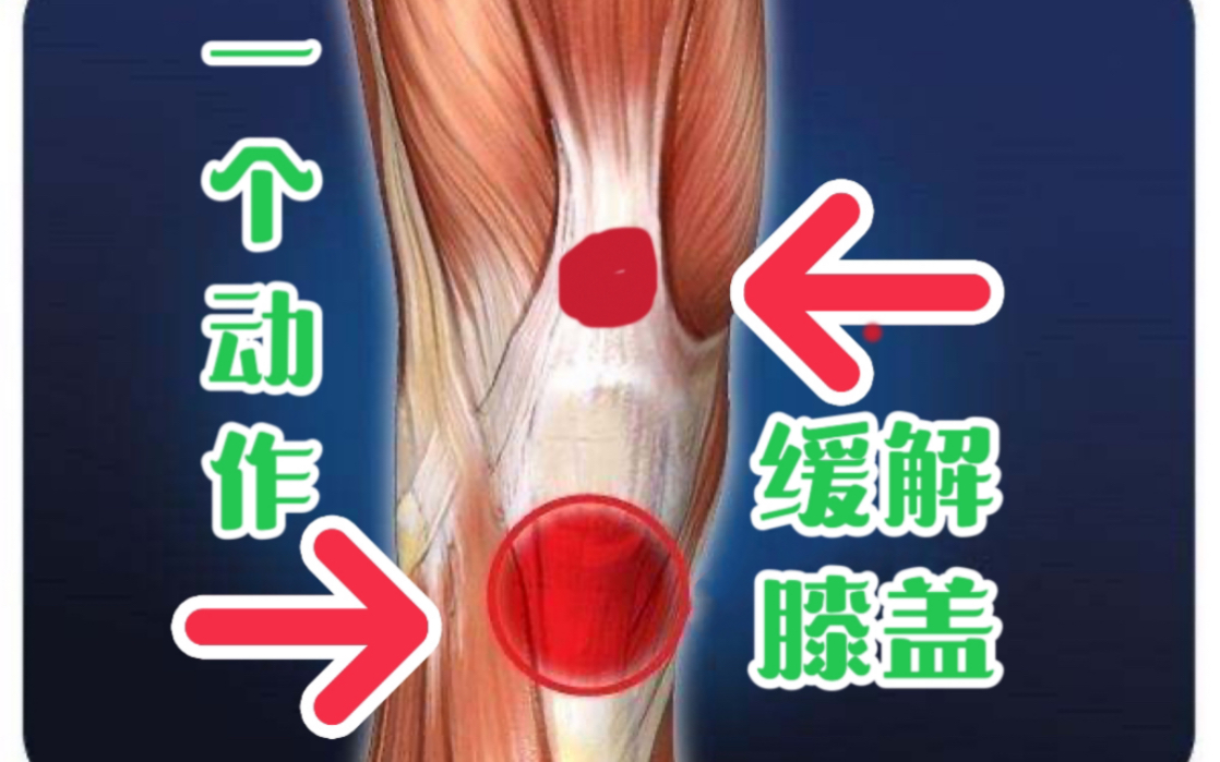 膝盖问题（髌腱，股四头肌肌腱）一个动作来解决