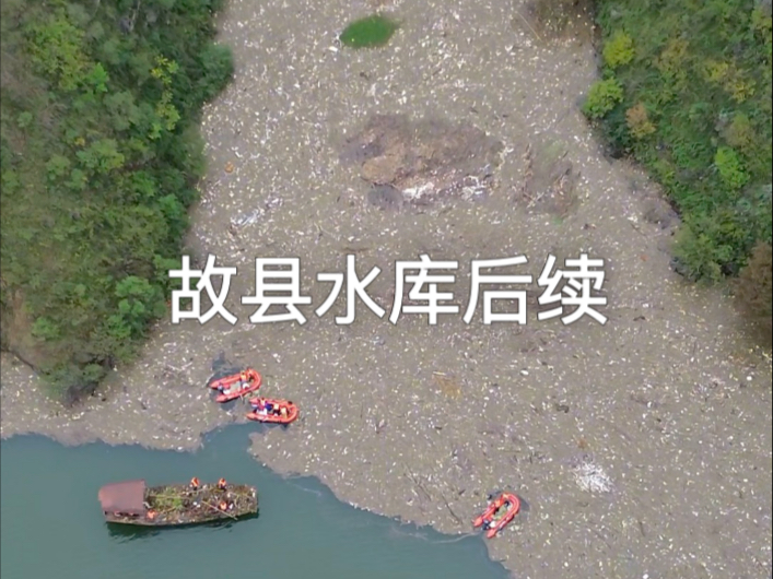 故县水库后续，正在全力打捞#绿水青山就是金山银山