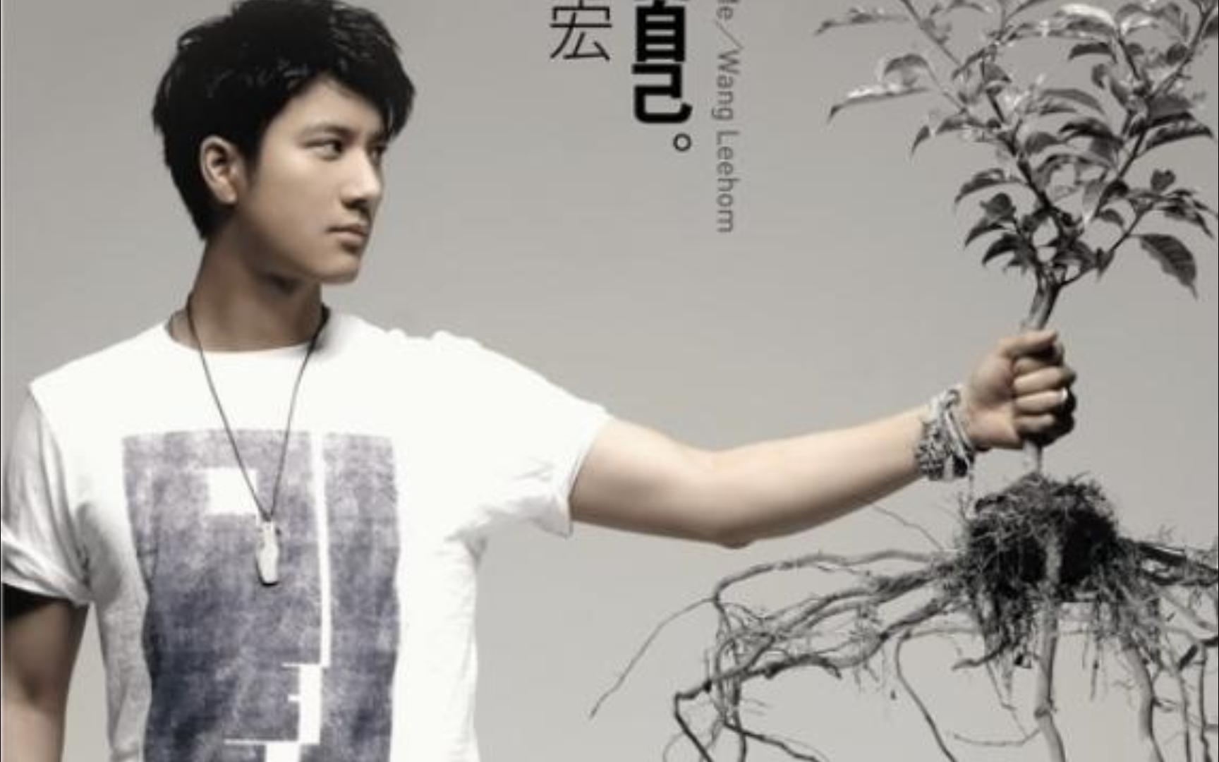 落叶归根----王力宏 纯伴奏