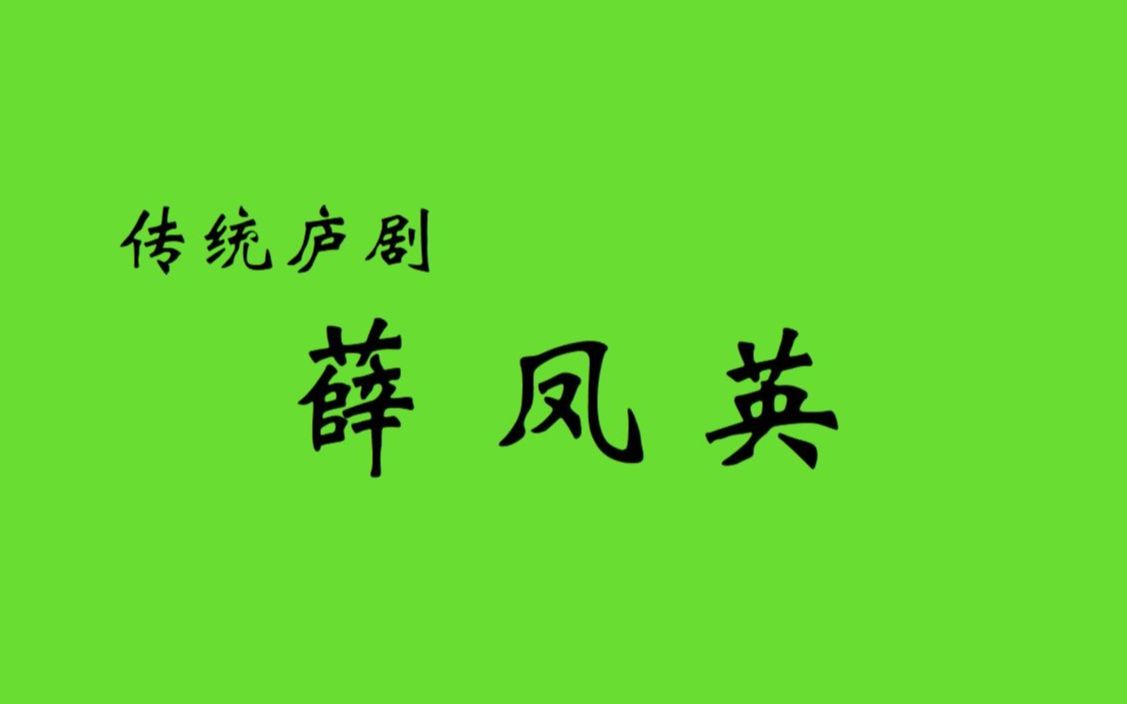 庐剧《薛凤英 主演:魏晓波,汪莉,刘长芬,汪晓云