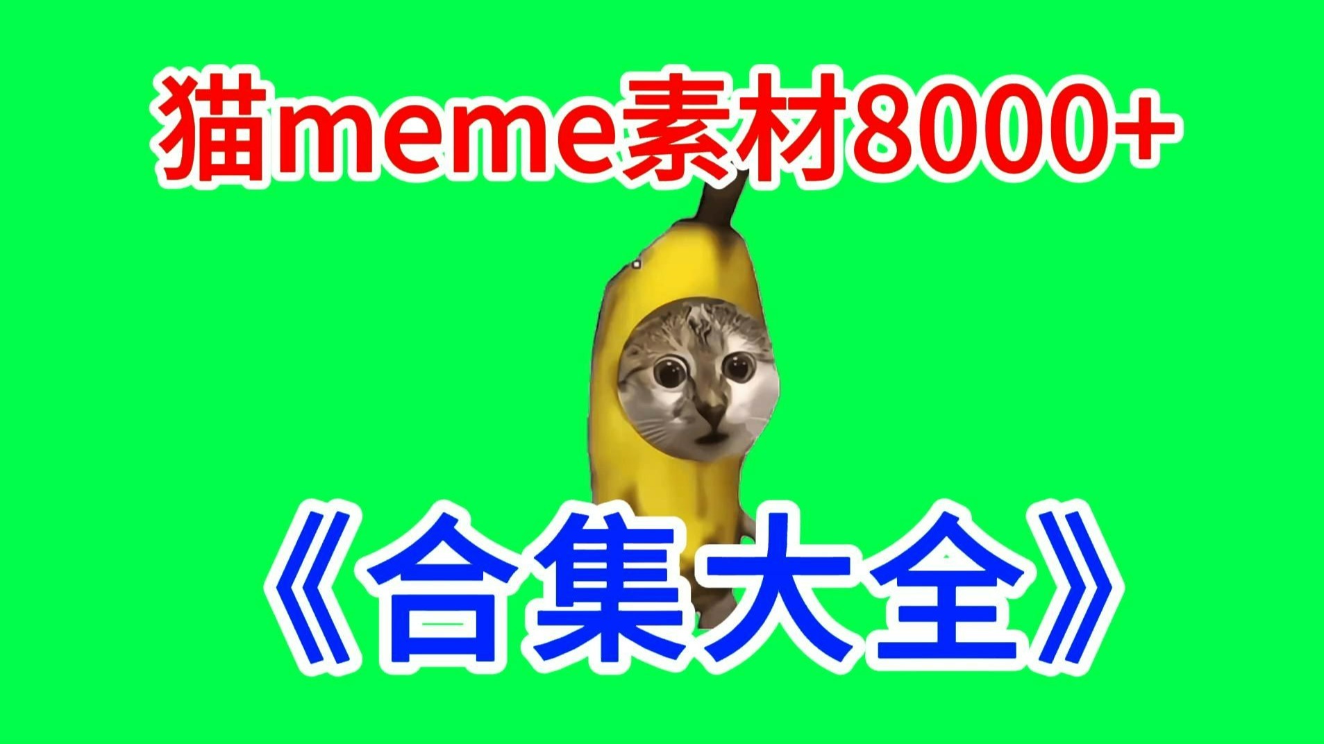 【香蕉猫惊讶！】猫meme绿幕素材完整分享～，猫meme素材整合分享，合集分享！