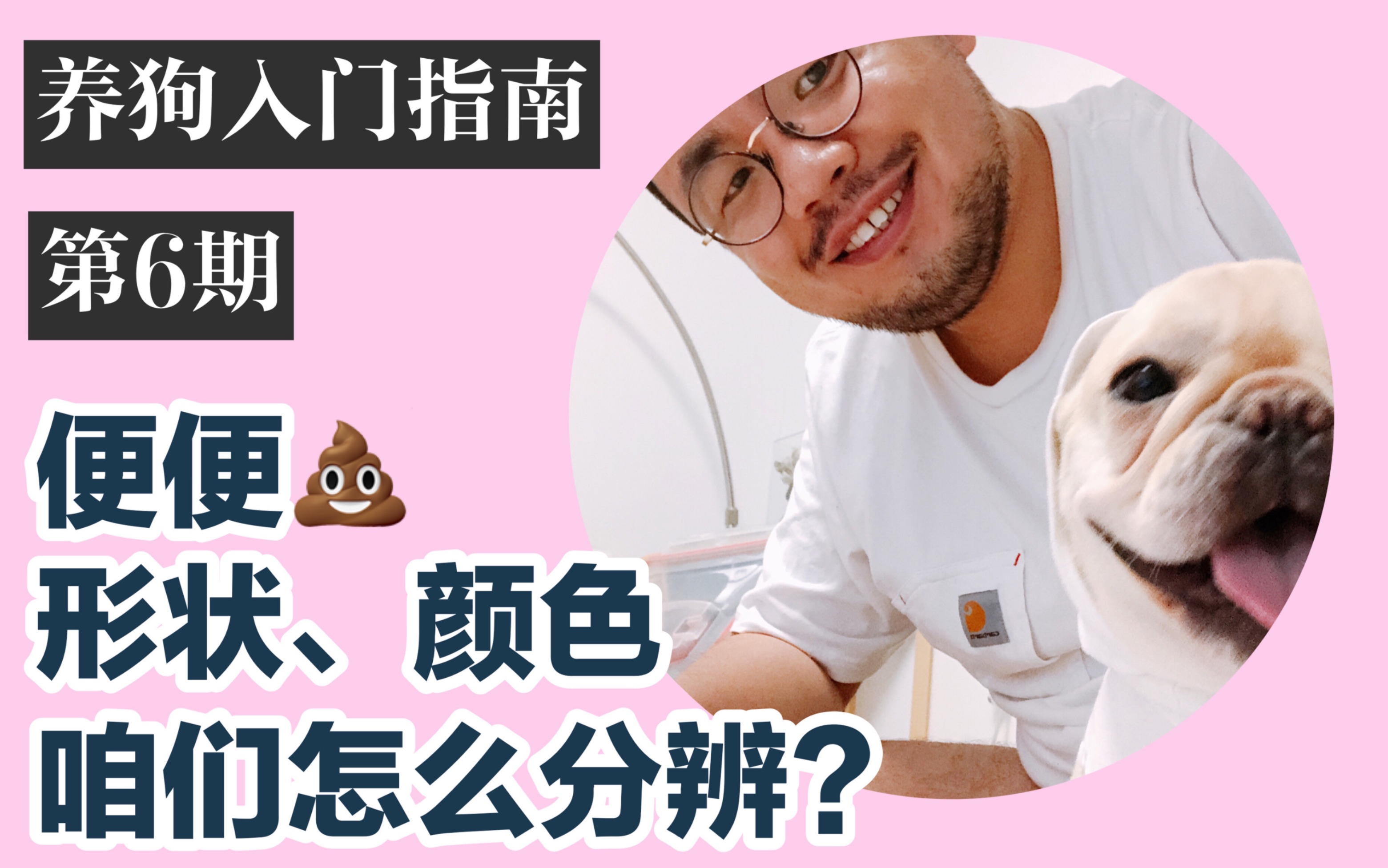 【养狗入门指南】今天说狗狗的大。。。便！我们要从狗狗的便便形状、颜色来判断，狗狗拉肚子、便血、白色便便该怎么处理呢？