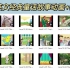 60集英语经典童话故事分级动画+同步辅导练习册