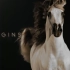 【PBS】马的故事 全3集 Equus Story Of The Horse (2019)