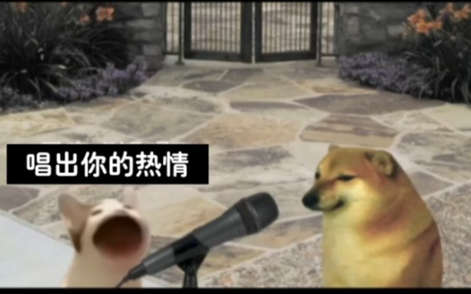 《明天会更好》—— Cheems & 流泪猫