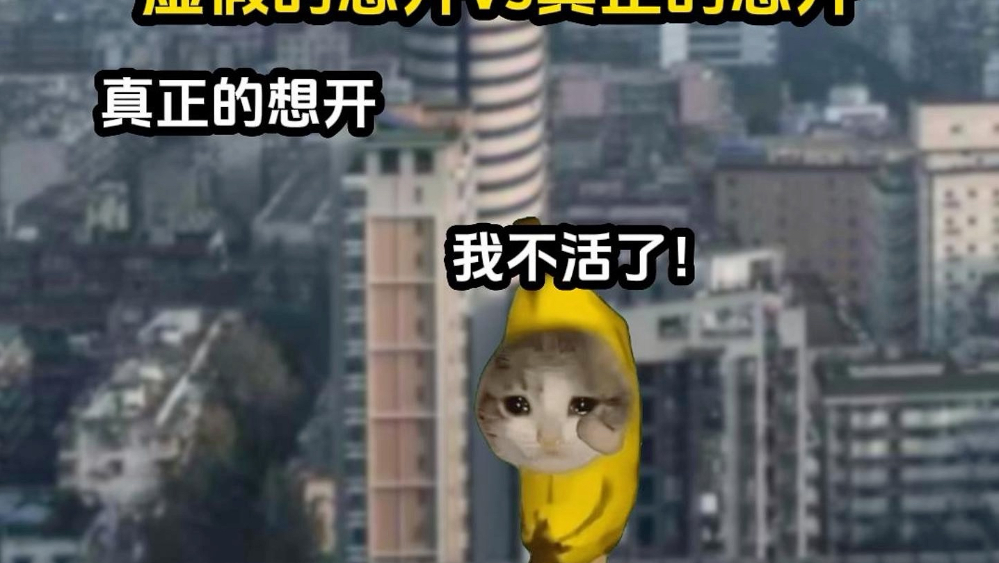 虚假的想开vs真正的想开