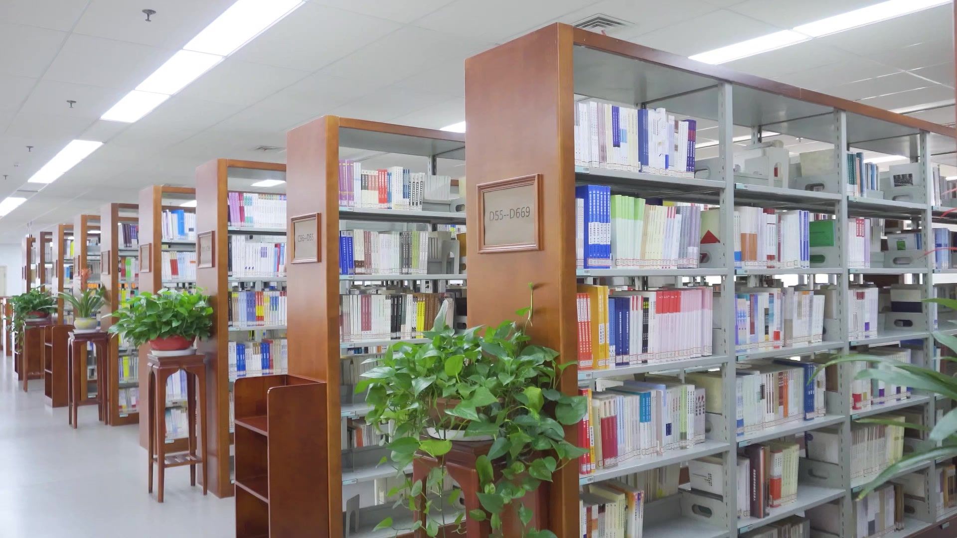 【空镜素材】图书馆2