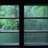 【白噪音】治愈雨声之窗景篇