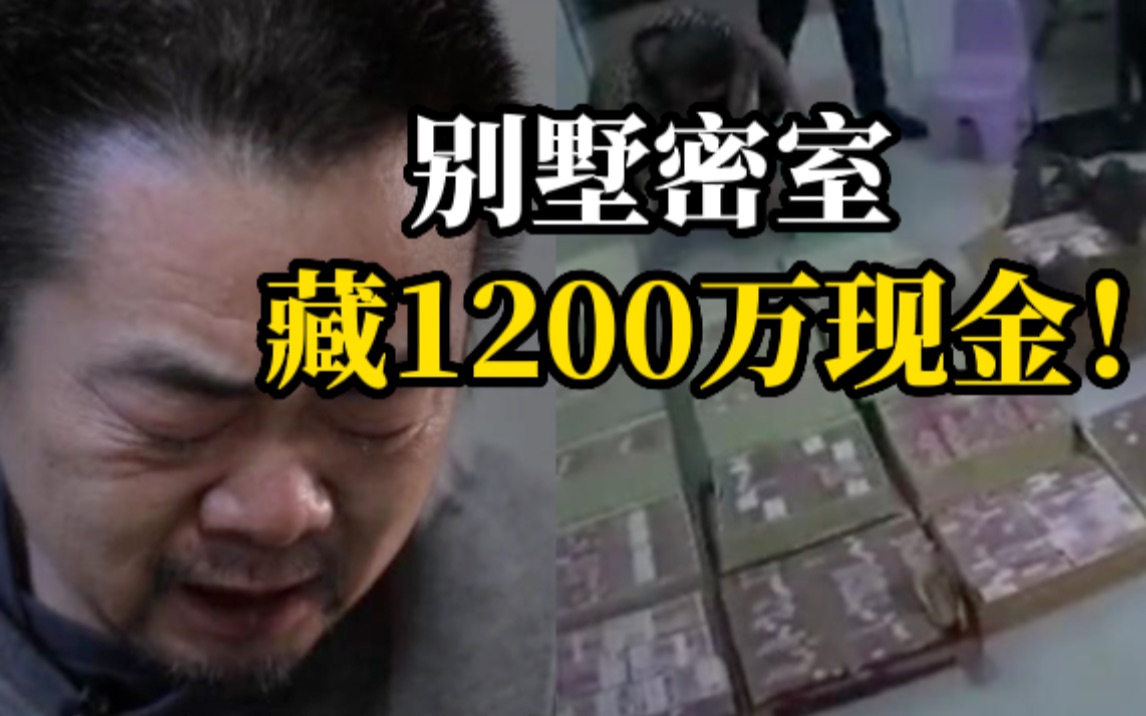 5台点钞机数5小时!贪官家中藏匿现金1200余万元!茅台酒230多箱!哔哩哔哩bilibili