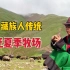 西藏牧民生活传统，19岁藏族姑娘在外游牧，牦牛和粮食怎么搬迁？