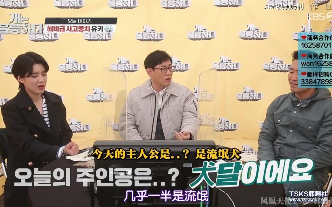 [影音] 210315 KBS 狗很優秀 E71 中字