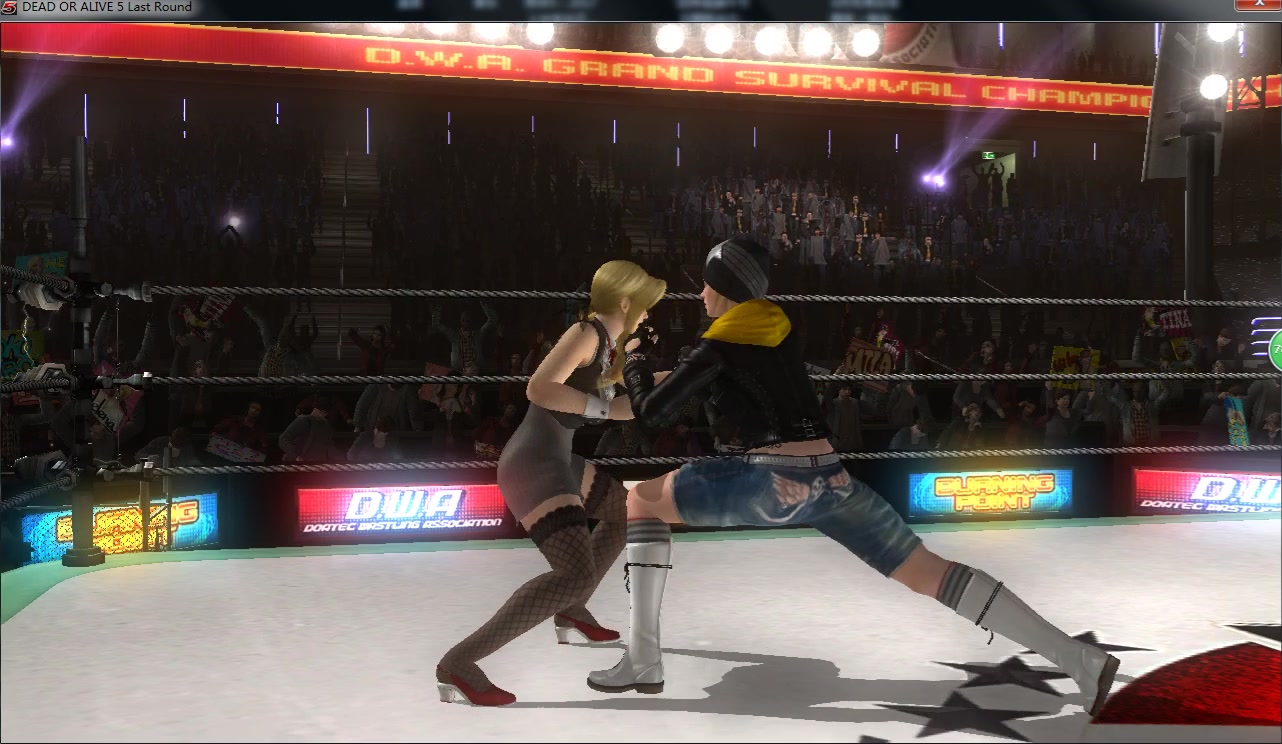 【婐丗亣卛皕尻】doa5 师徒组合对阵摔跤姐妹 ryona