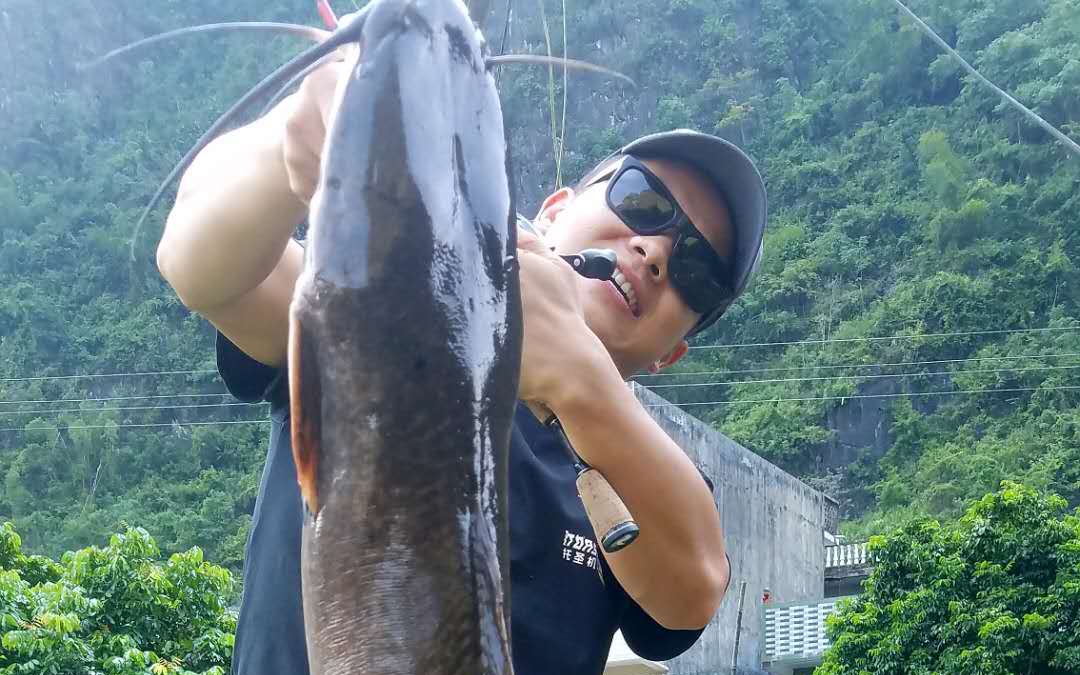 钓鱼人的一天,雨中路亚鲶鱼,狂拉根本停不下来啊