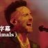 【4K超清】魔力红《Animals》2021现场！！！ Maroon 5马老五