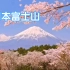 #治愈系风景素材 #富士山下#富士山樱花飘落便是人间理想