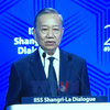 香格里拉对话会越南独特外交理念引发广泛共鸣