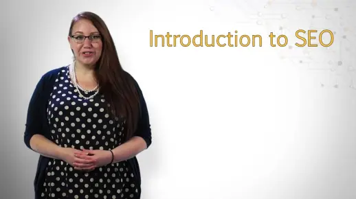 (1/2) SEO 搜索引擎优化专项课程