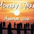 Monkey&Tree | 赤足前行 | 缅甸VLOG